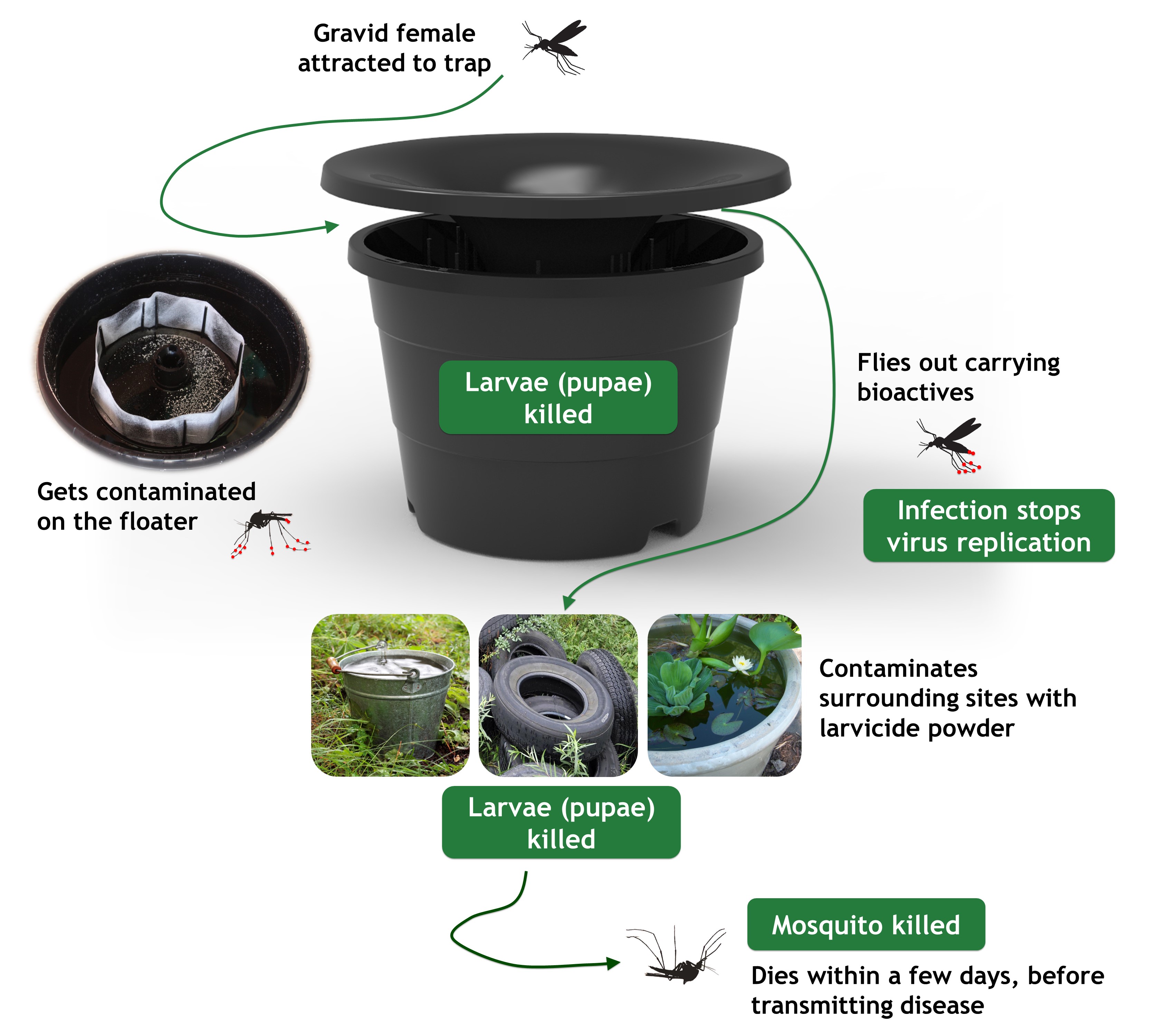 In2Care Mosquito station diagram showing how it attracts adults mosquitoes and kills larvae.