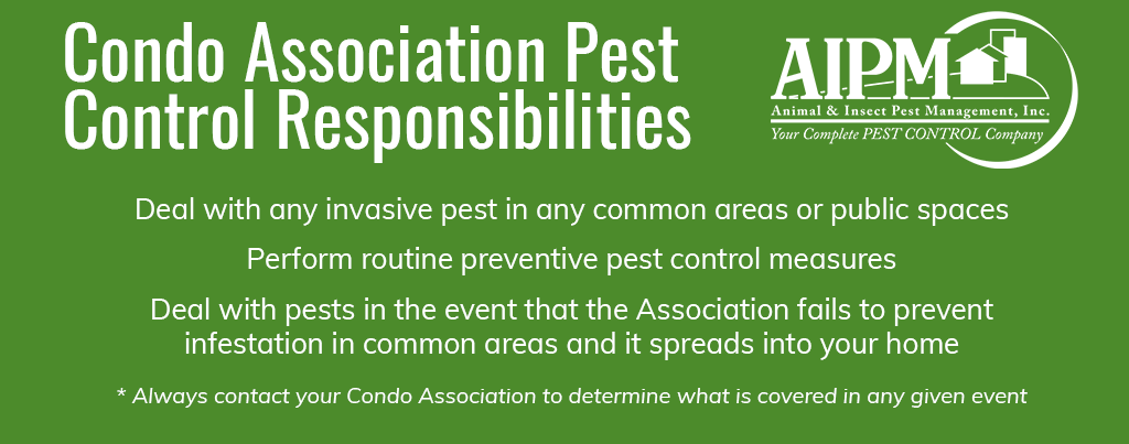 Condo Association Pest Control Responsibilities: Deal with any invasive pest in any common areas or public spaces, Perform routine preventive pest control measures, Deal with pests in the event that the Association fails to prevent infestation in common areas and it spreads into your home. * Always contact your Condo Association to determine what is covered in any given event