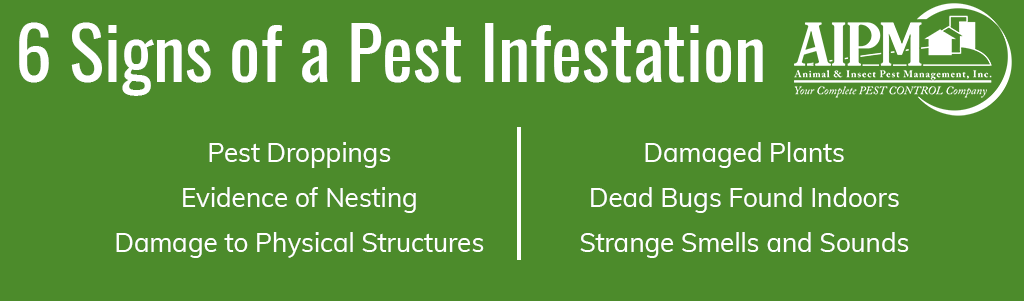 6 signs of a pest infestation: pest droppings, evidence of nesting, damage to physical structures, damaged plants, dead bugs found indoors, strange smells and sounds