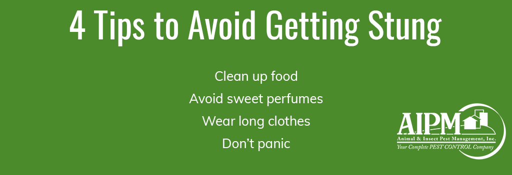 4 tips to avoid getting stung: clean up food, avoid sweet perfumes, wear long clothes, don't panic.