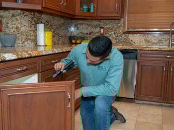 An AIPM pest professional performing an inspection