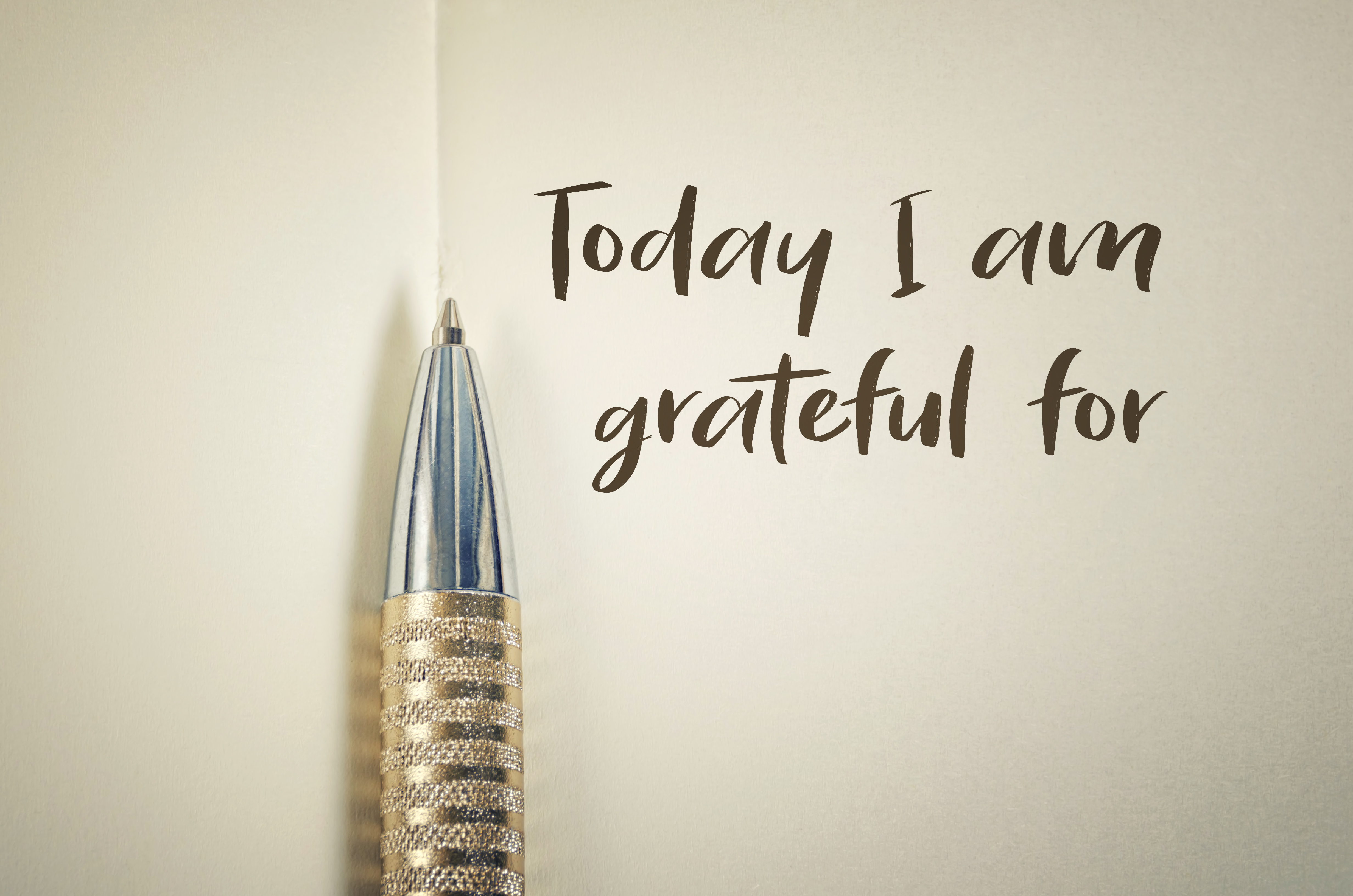 It's National Gratitude Month and we have a lot to be thankful for!