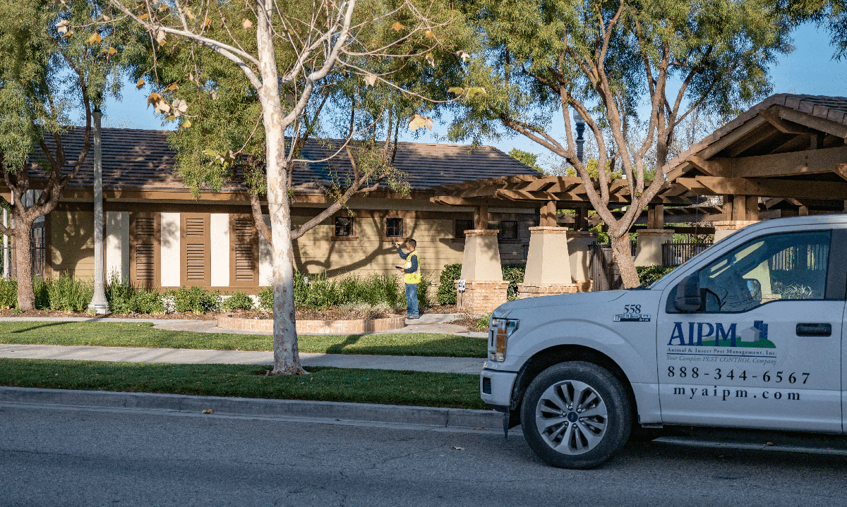 AIPM pest control performing duty 