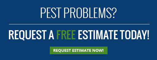 pest problems? request a free estimate today