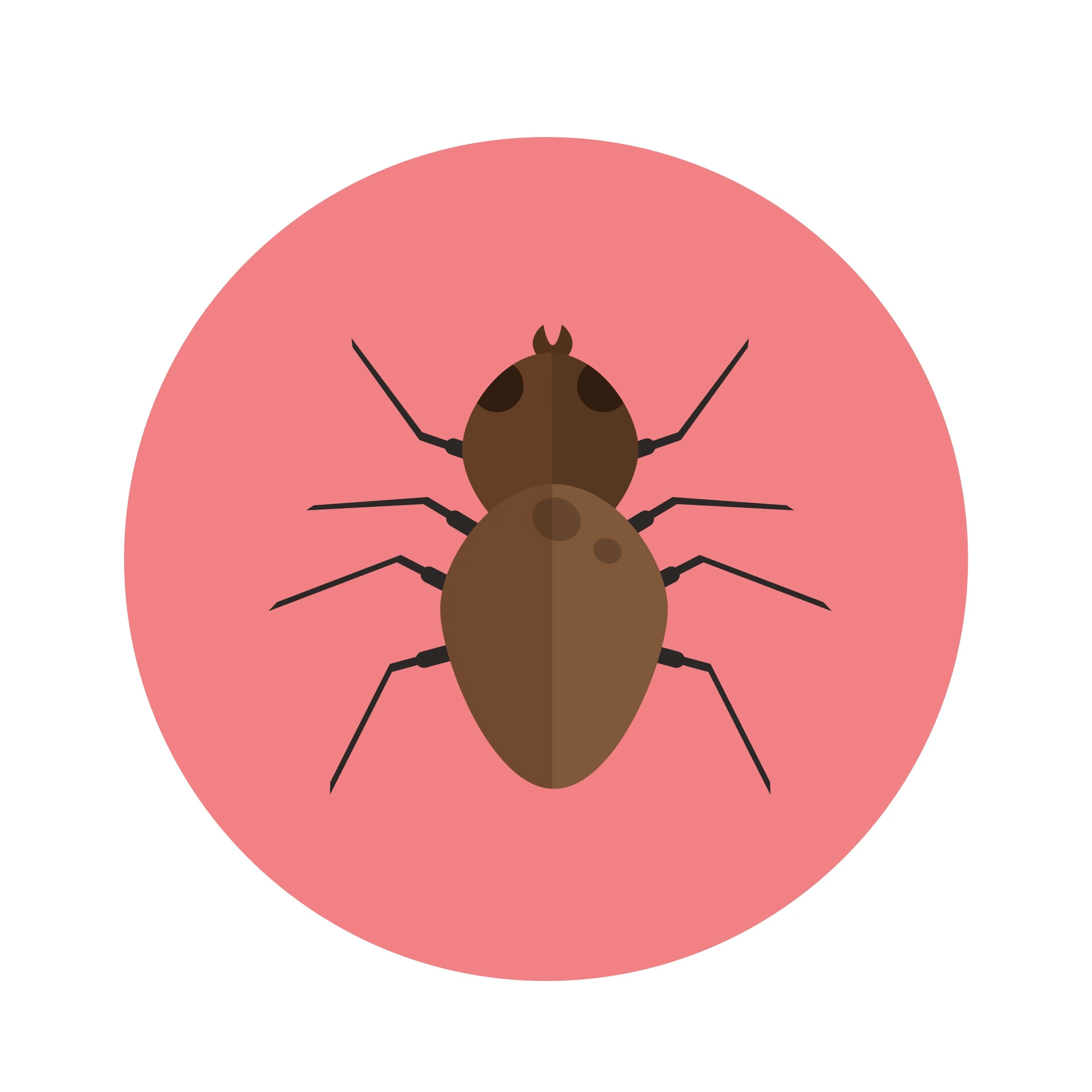 cartoon image of a bed bug