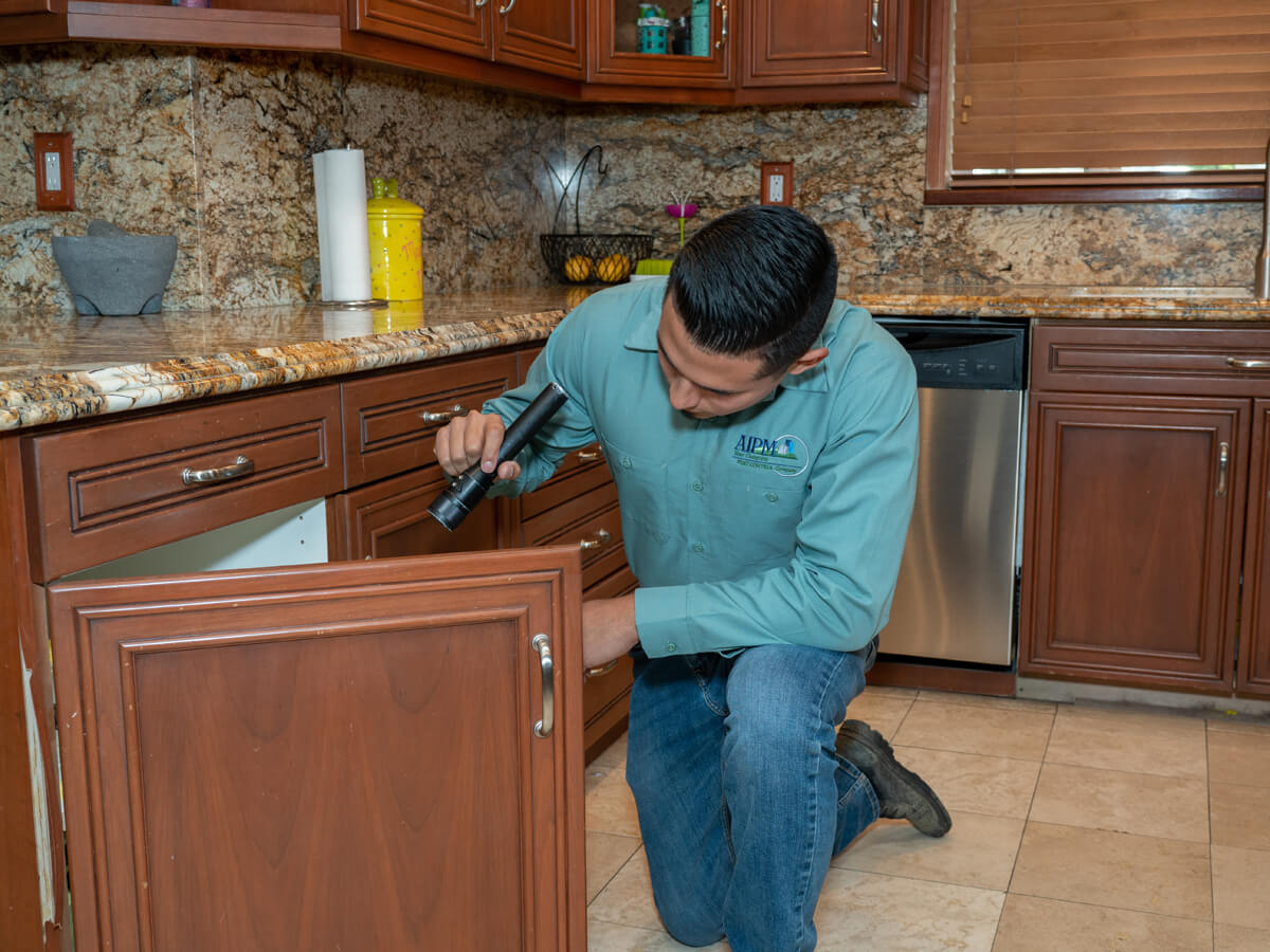 a man checking the cabinet looking for something