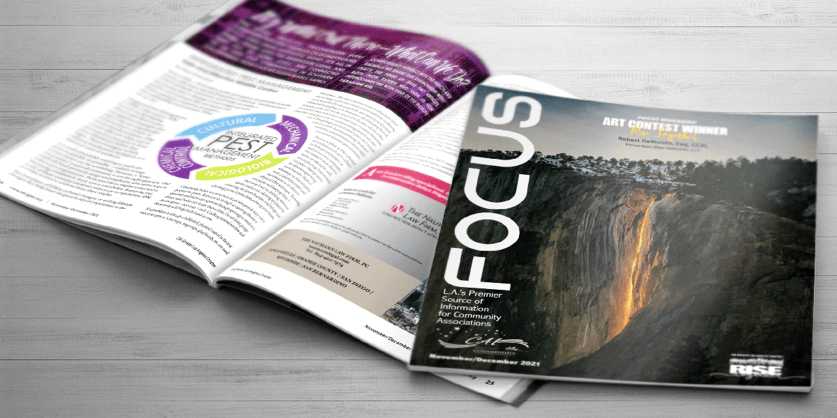 an open page of focus magazine
